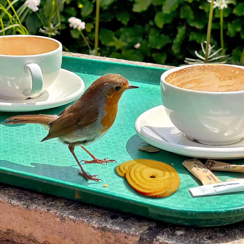 An Unexpected Visitor!
